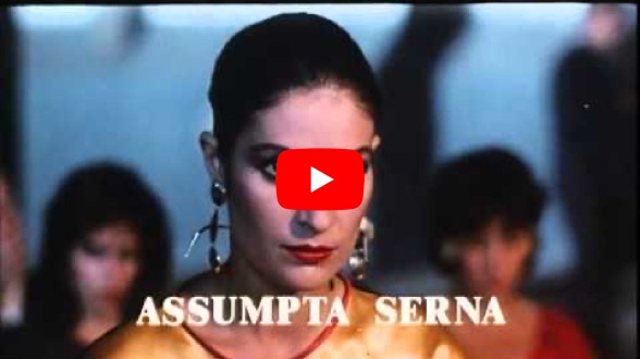 Vidéo