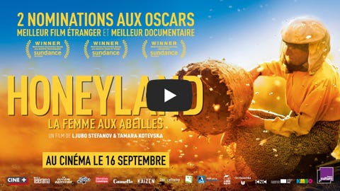 Vidéo Lire la vidéo