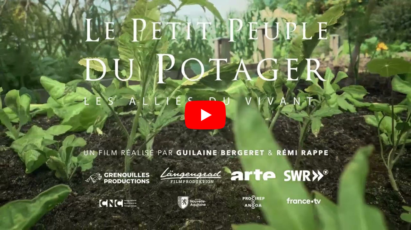 Lire la vidéo